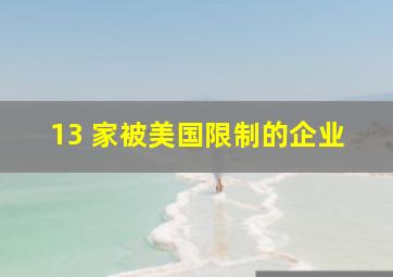 13 家被美国限制的企业